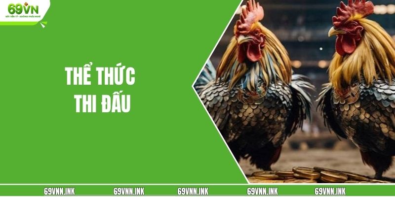 Thể thức thi đấu