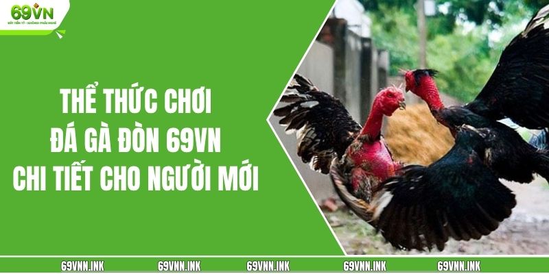 Thể thức chơi đá gà đòn 69VN chi tiết cho người mới