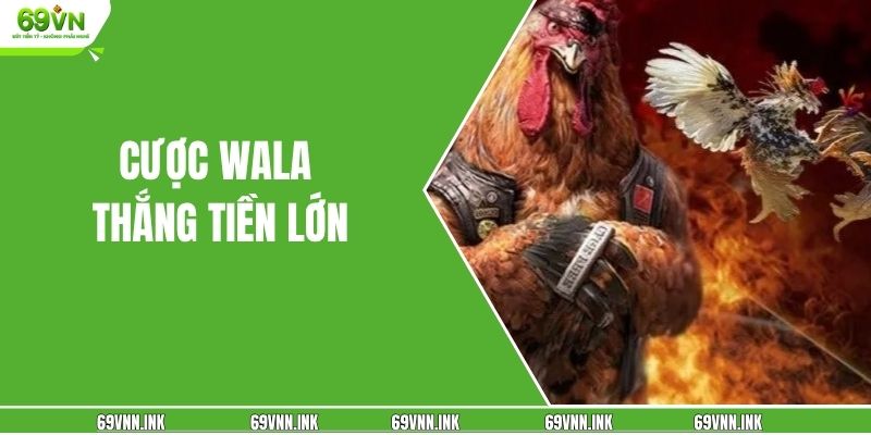 Cược Wala thắng tiền lớn