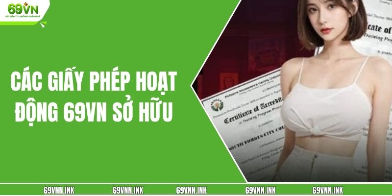 Các giấy phép hoạt động 69VN sở hữu